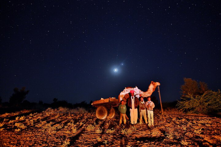 Safari