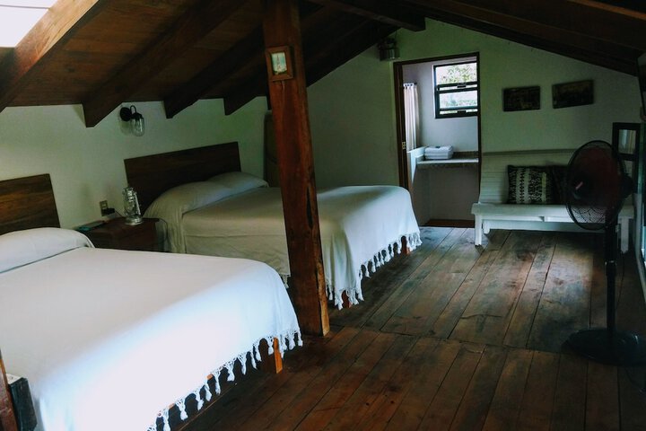 Room 15 of 49