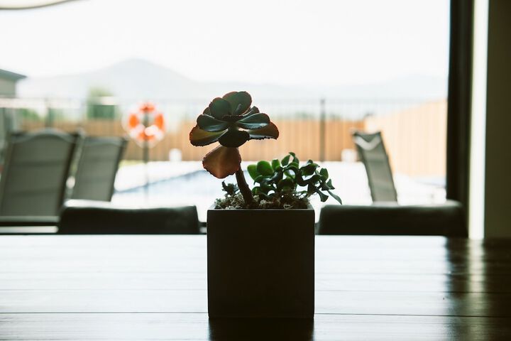 Breakfast/Coffee Service 42 of 95