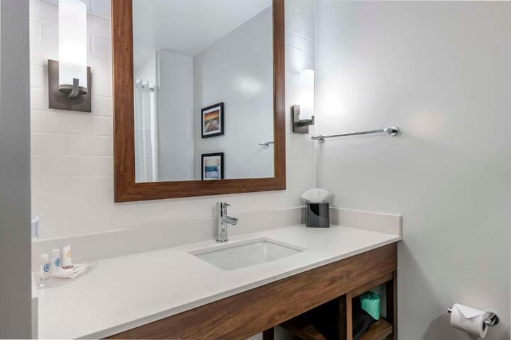 1 King Bed Suite (8 of 10)