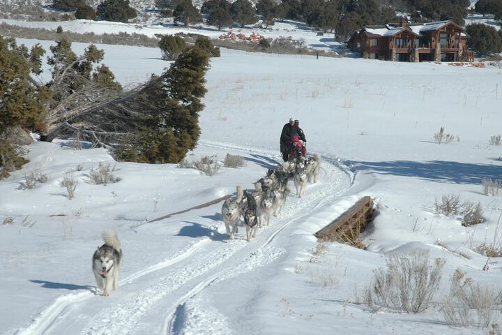 Sledding
