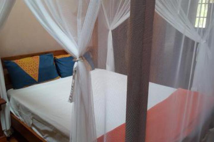 General 53 of 82