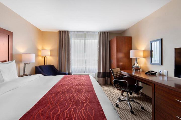 1 King Bed (8 of 11)
