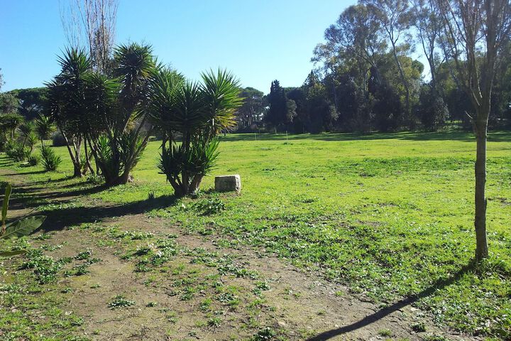 Property Grounds 16 of 23