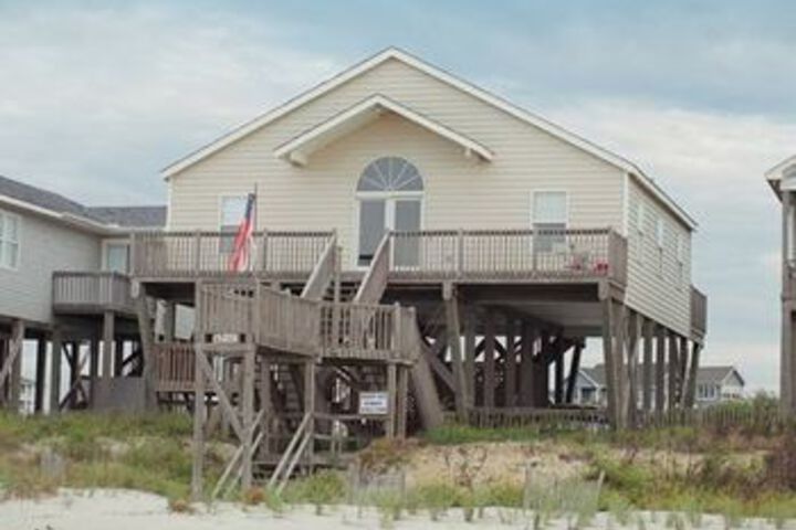 Sand Dollars by RedAwning