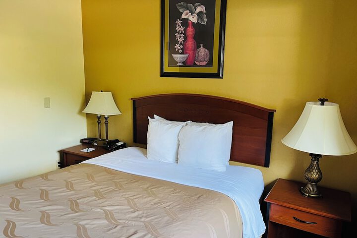 1 Queen Bed (9 of 11)