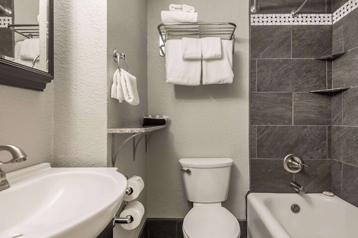 1 King Bed Suite (8 of 15)