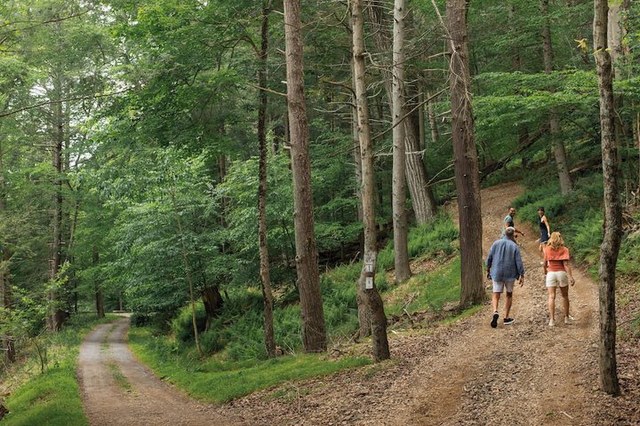 Outdoor Activities 134 of 206