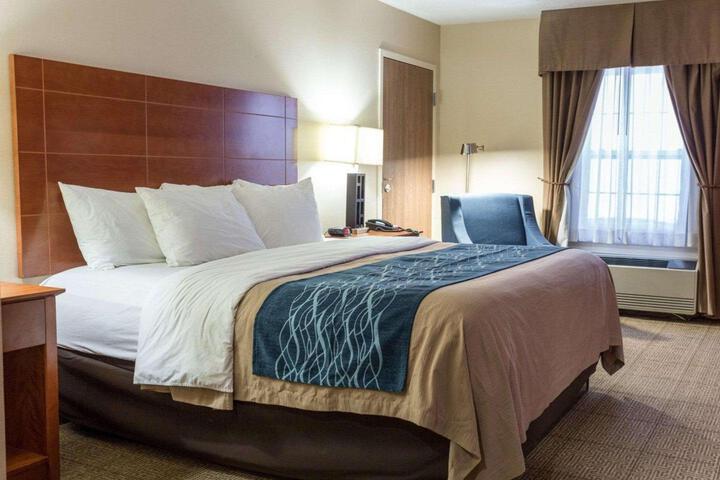 1 King Bed (5 of 8)