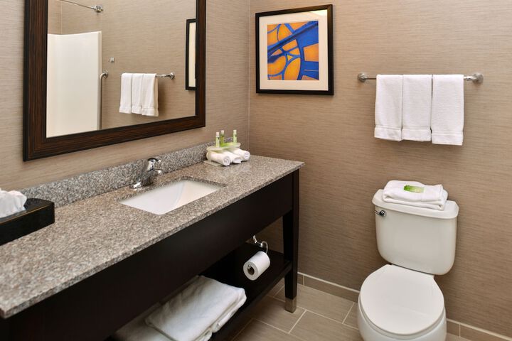 1 King Bed Standard Mobility Accessible Tub (18 of 25)