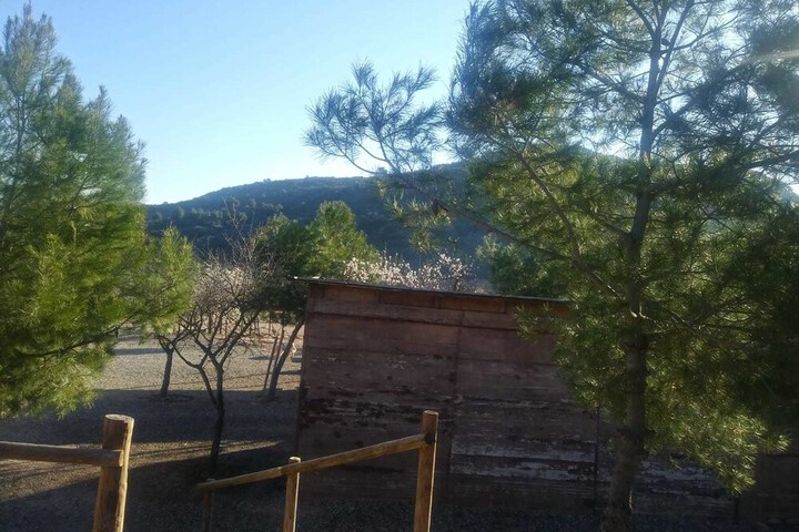 Property Grounds 44 of 52