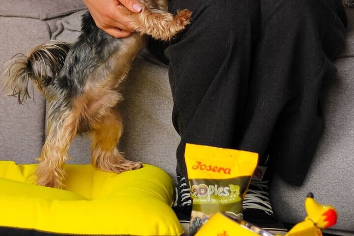 Pet Friendly 98 of 126