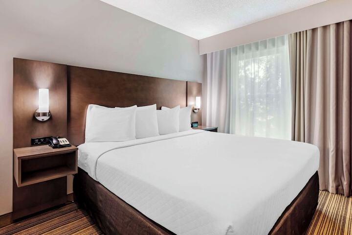 1 King Bed Suite No Pets (9 of 15)