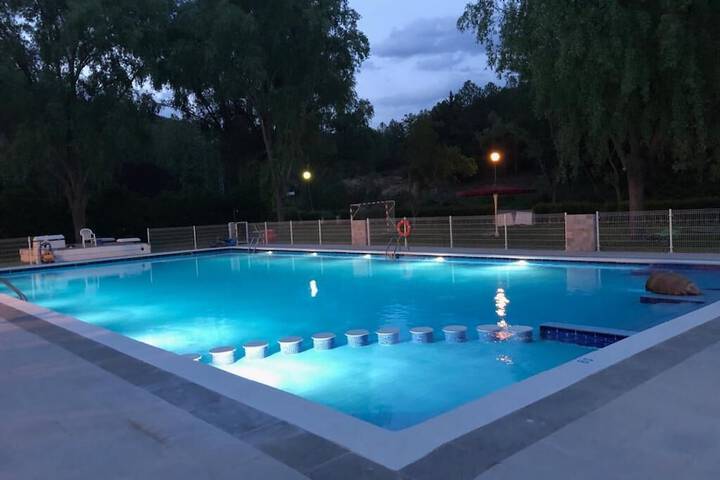 Pool 56 of 131