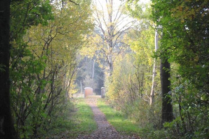 Property Grounds 34 of 51