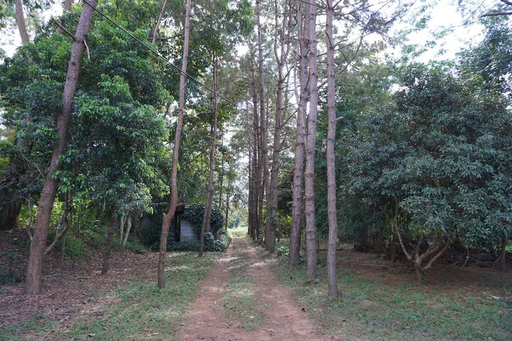 Property Grounds 24 of 37