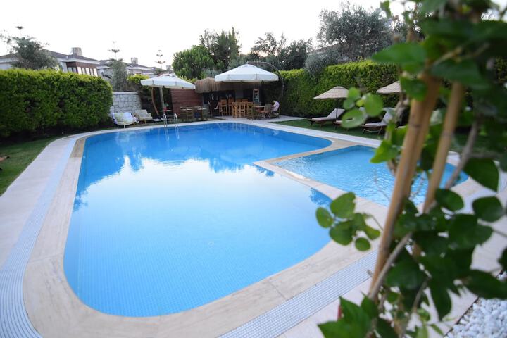 Pool 23 of 38