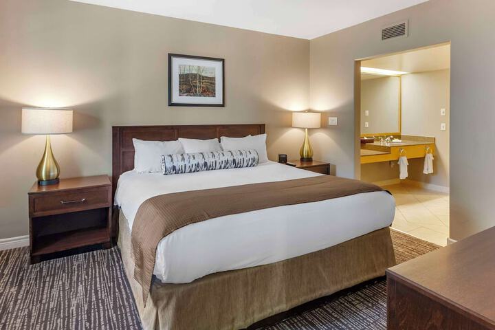 1 King Bed Efficiency (14 of 16)