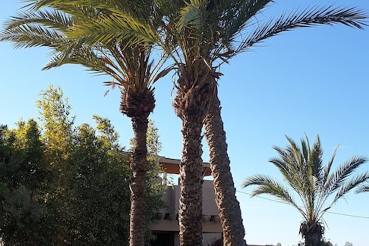Hotel Exterior 1 of 29