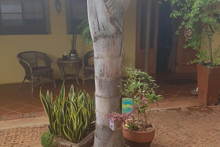 Pet Friendly 27 of 44