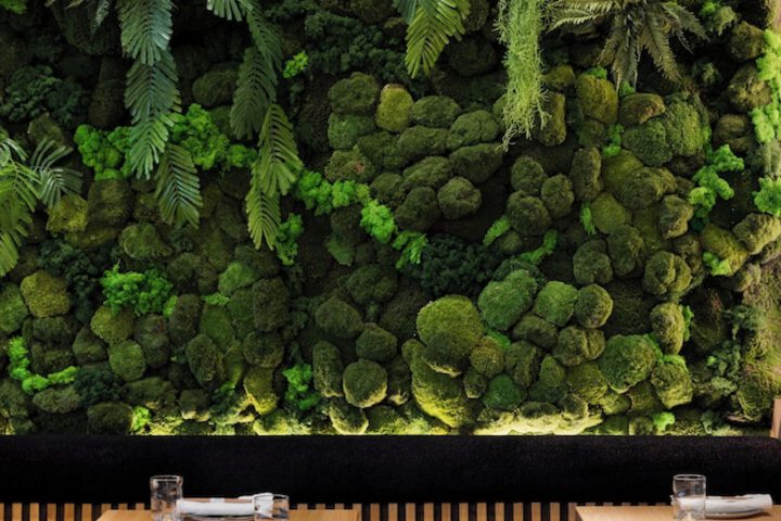 Dining 121 of 187