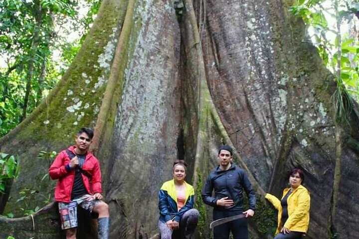 Outdoor Activities 42 of 127