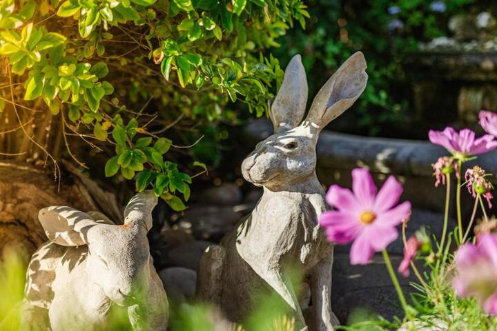 General 60 of 78