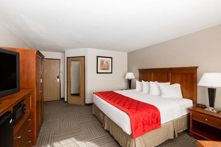 1 Queen Bed Accessible Room (15 of 17)