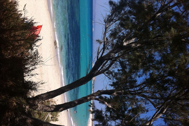 Beach 84 of 92