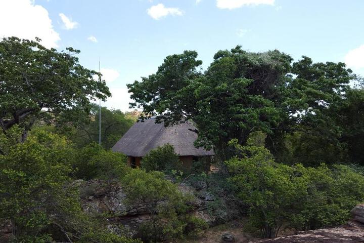 General 15 of 26