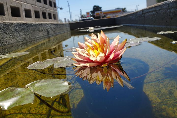 Hotel Exterior 64 of 67