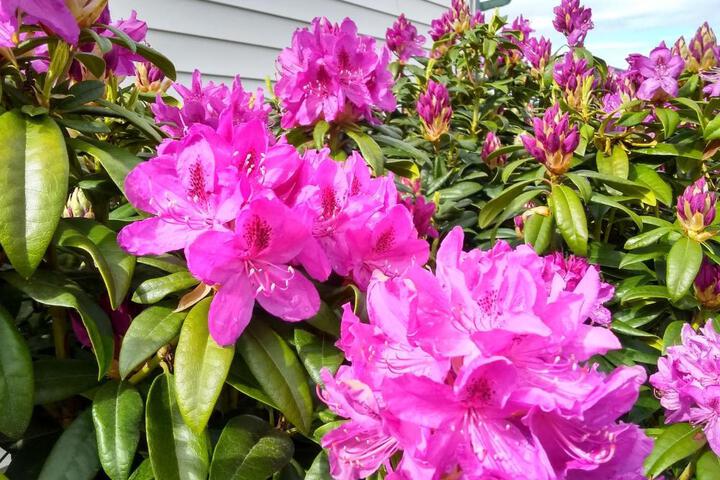 Photo 28