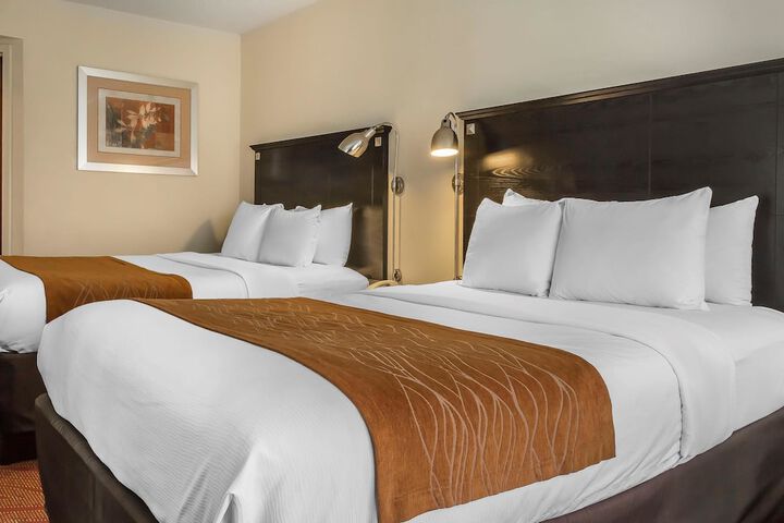 2 Queen Beds (1 of 16)