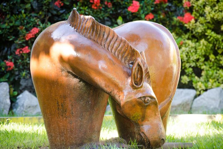 Property Grounds 40 of 50