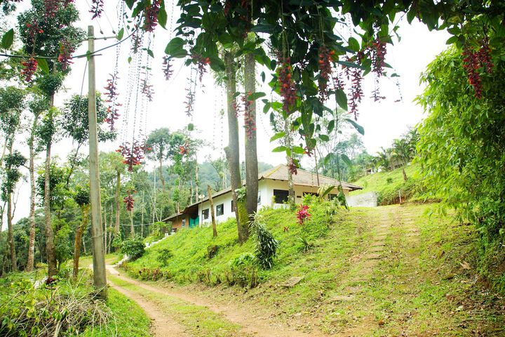 Room-the Nest Bettathur Coorg Ct No 1 in Madikeri