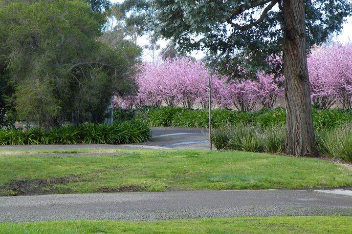 Property Grounds 38 of 55