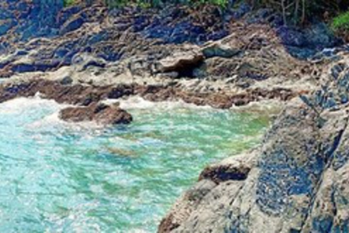 Beach 12 of 39