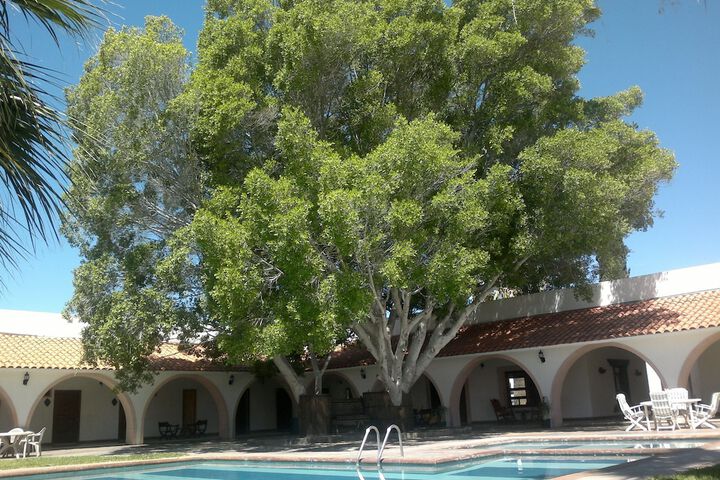 Hotel Pool