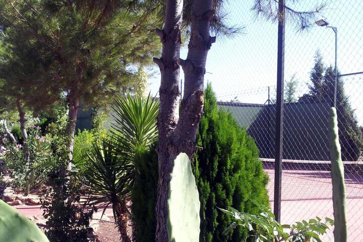 Photo 15
