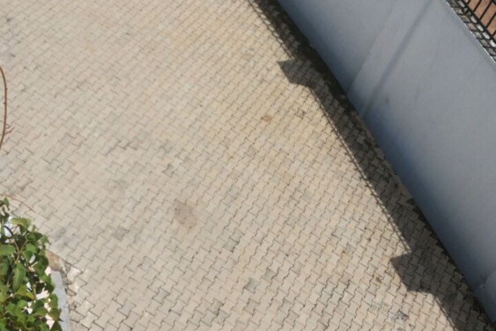 Property Grounds 63 of 73