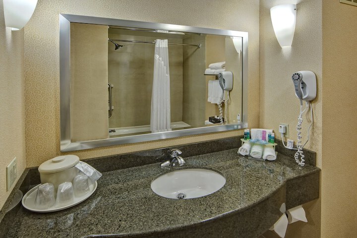 1 King Bed Suite (6 of 11)