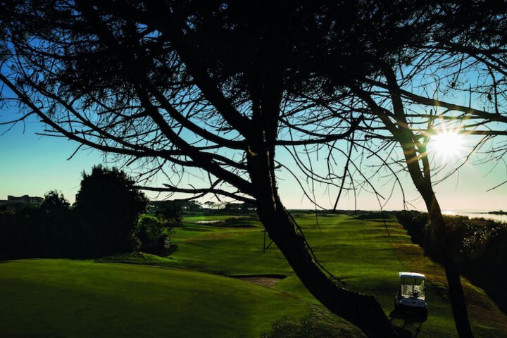 Golf 41 of 61