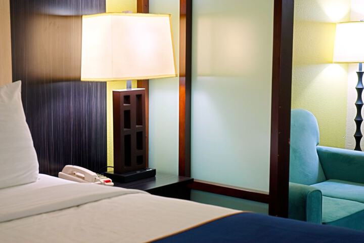 1 King Bed Suite (5 of 8)
