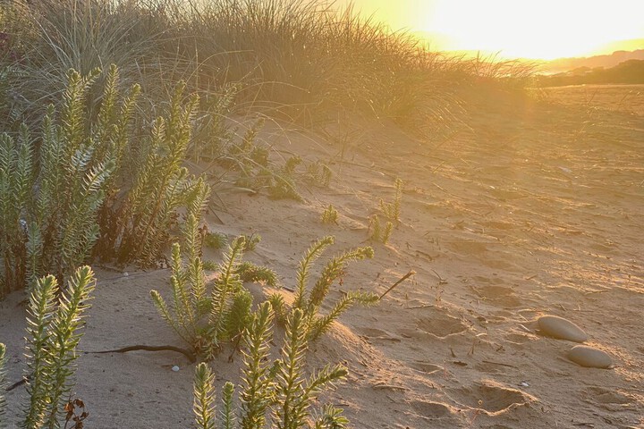 Beach 98 of 128