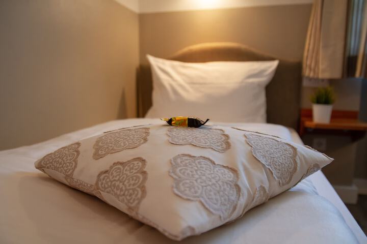 Room 8 of 24