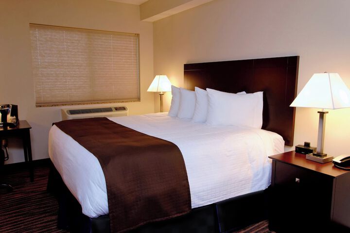 Standard | King Bed (8 of 21)