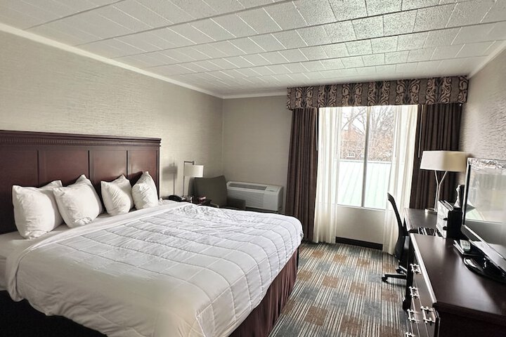 Deluxe King Bed (9 of 10)