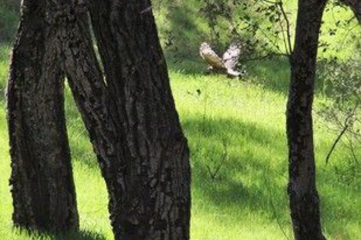 Property Grounds 2 of 75