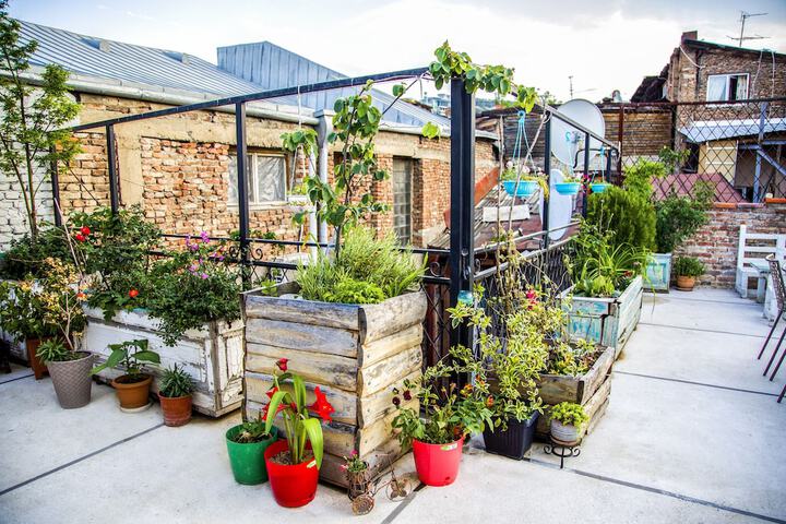 Terrace/Patio 69 of 96