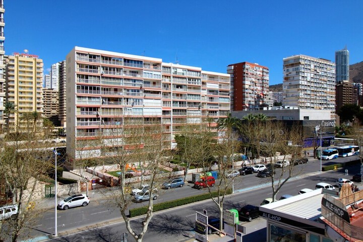 Coblanca 732